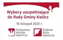 wybory_uzupelniajace