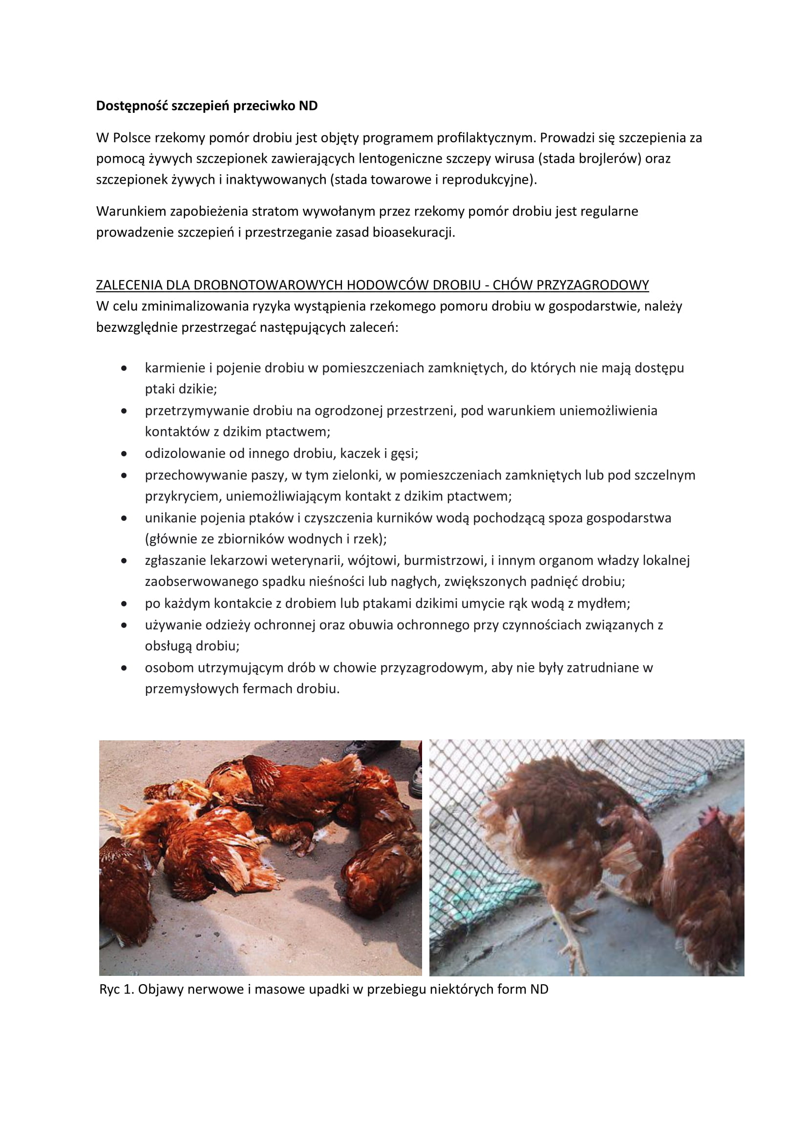 Informacja_Ulotka_ND-2