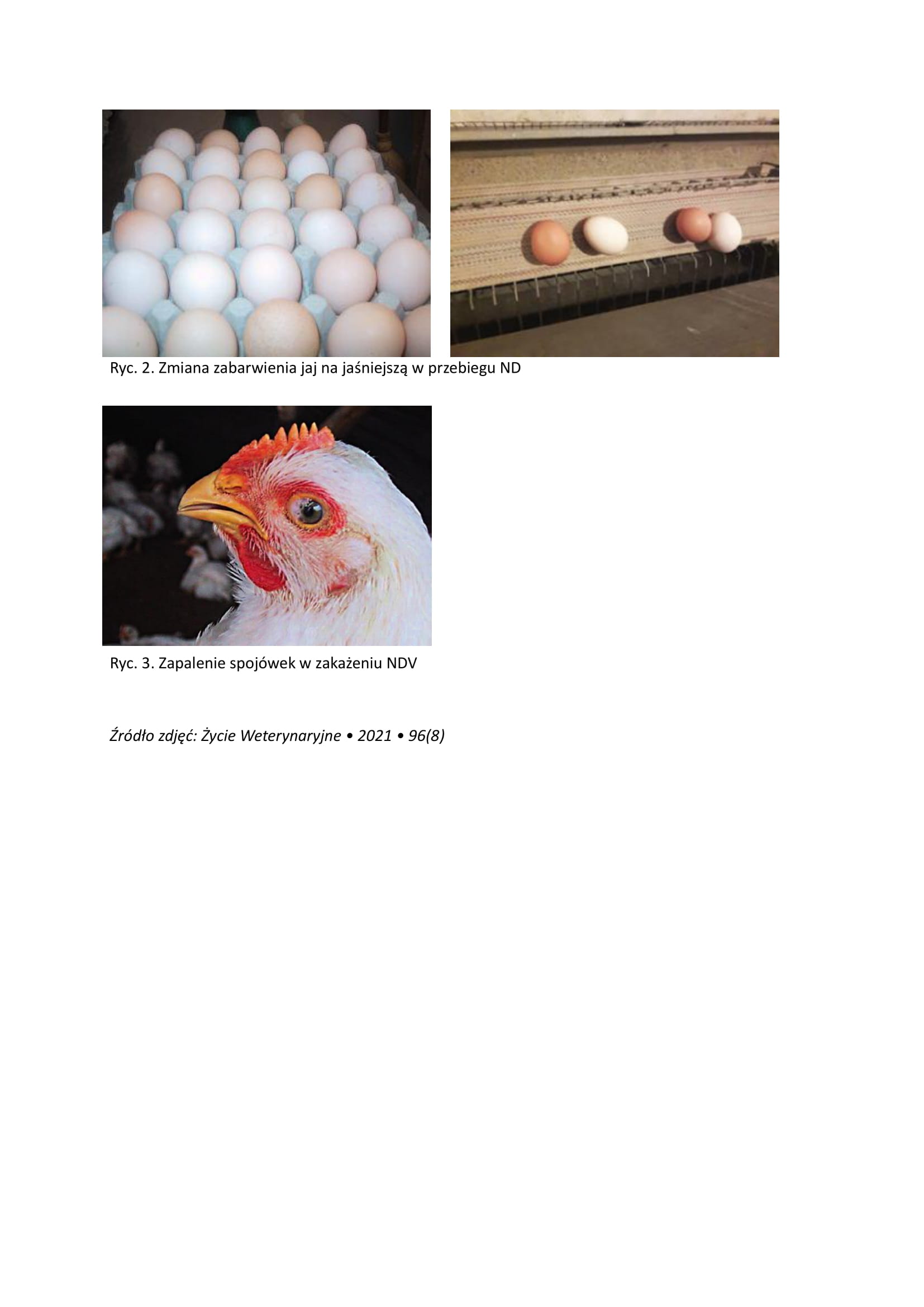 Informacja_Ulotka_ND-3