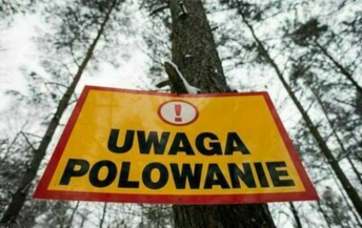 Zdjęcie do Uwaga - polowanie!