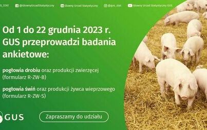 Zdjęcie do Badania statystyczne z zakresu rolnictwa