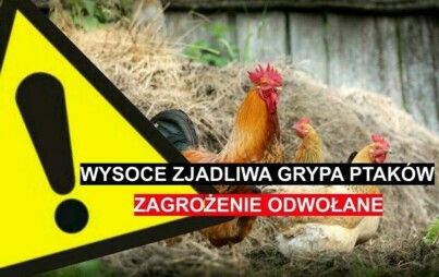 Zdjęcie do Ptasia grypa - Rozporządzenie uchylające rozporządzenie w sprawie zwalczania wysoce zjadliwej grypy ptak&oacute;w (HPAI) na terenie powiat&oacute;w międzychodzkiego, nowotomyskiego i szamotulskiego