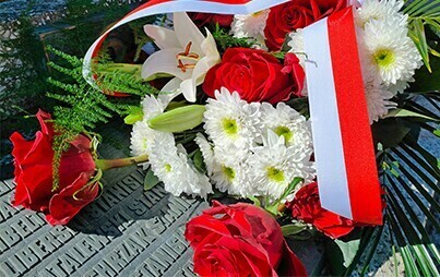 Zdjęcie do Święto Wojska Polskiego