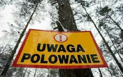 Zdjęcie do Uwaga - polowanie