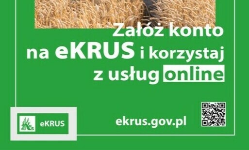 Zdjęcie artykułu z dnia 13-03-2026