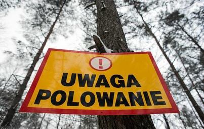 Zdjęcie do Uwaga - polowanie