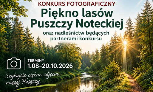 Zdjęcie do Konkurs fotograficzny &bdquo;Piękno las&oacute;w Puszczy Noteckiej&rdquo; &ndash; pokaż piękno naszej przyrody!