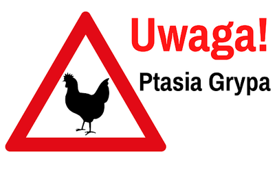 Zdjęcie do Ptasia grypa w Powiecie Międzychodzkim!