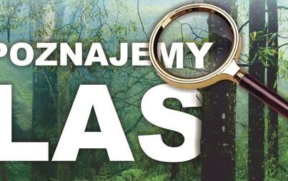 Zdjęcie do Festyn "Poznajemy las"