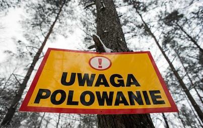 Zdjęcie do Uwaga polowanie
