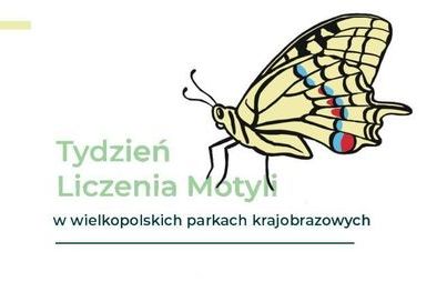 Zdjęcie do Tydzień Liczenia Motyli w wielkopolskich parkach krajobrazowych