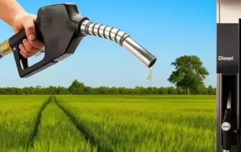 Zdjęcie artykułu z dnia 29-01-2026