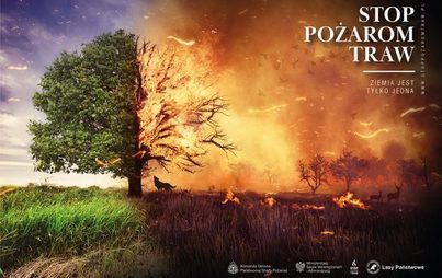 Zdjęcie do Wypalanie traw szkodzi i jest zabronione