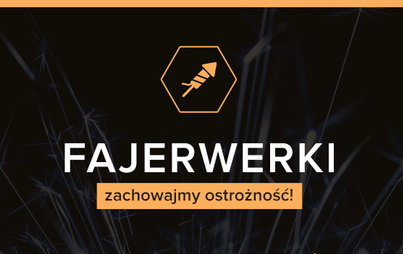 Zdjęcie do Fajerwerki - korzystaj z głową!